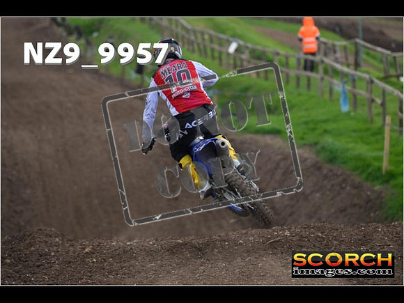 Experts-279