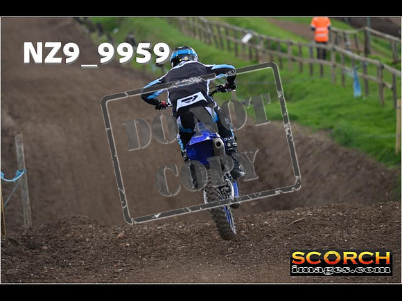 Experts-281