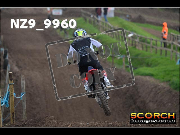 Experts-282