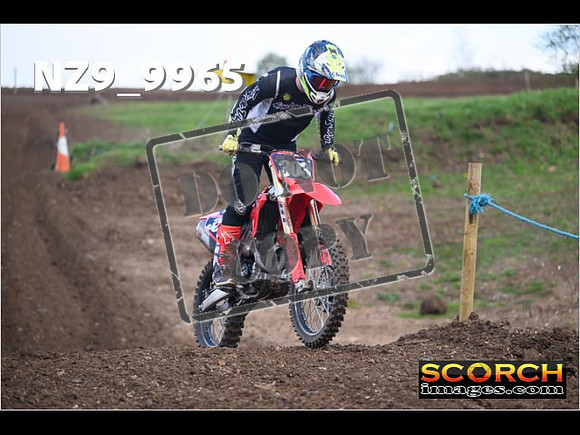 Experts-284