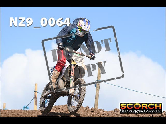 Experts-293