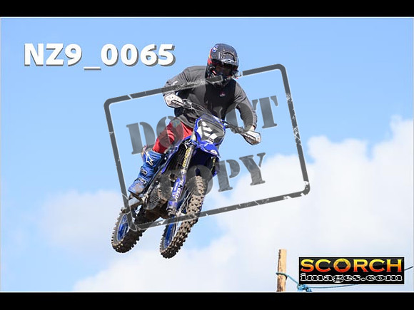 Experts-294