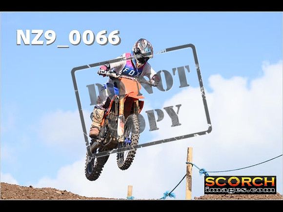 Experts-295