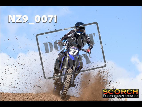 Experts-299