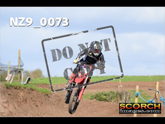 Experts-300