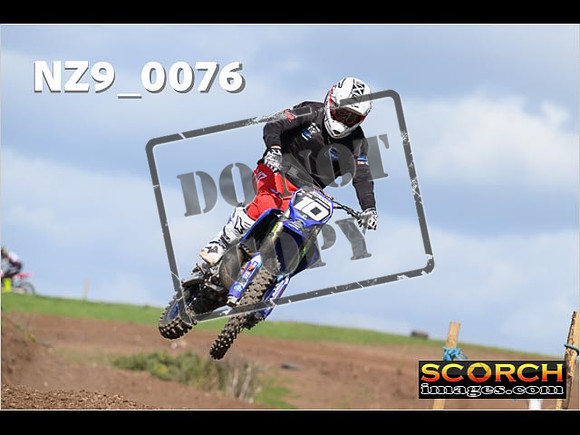 Experts-302