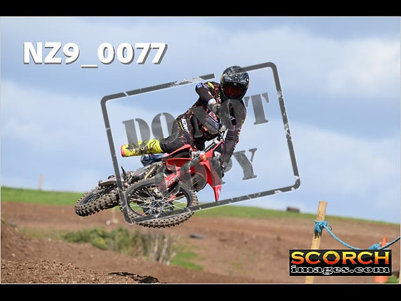 Experts-303
