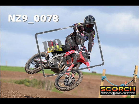 Experts-304