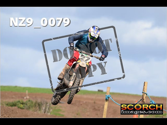 Experts-305
