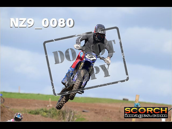 Experts-306