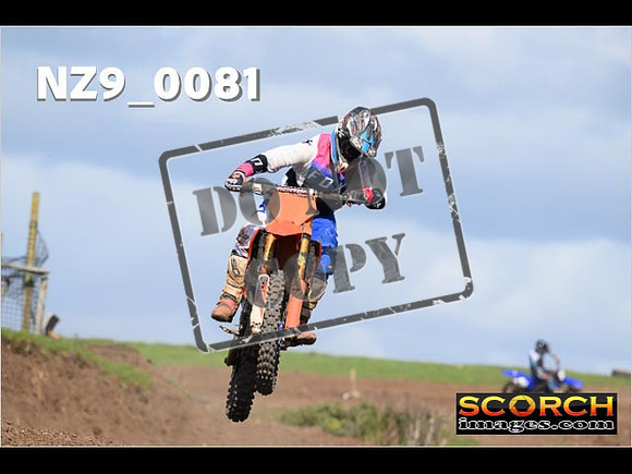 Experts-307