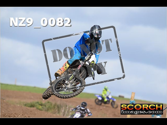 Experts-308