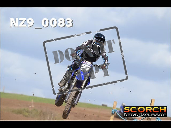 Experts-309