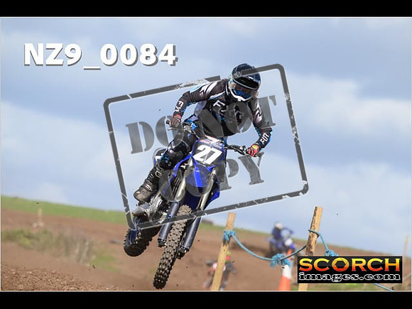 Experts-310