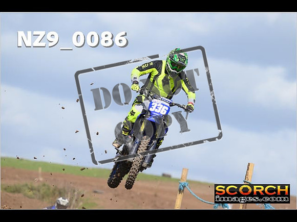 Experts-312