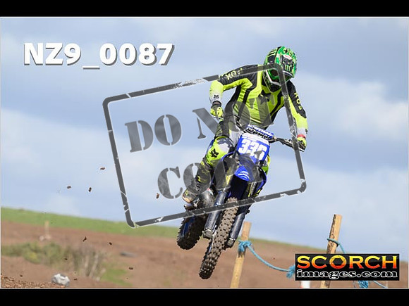 Experts-313
