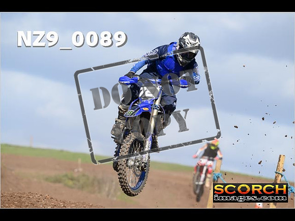 Experts-315