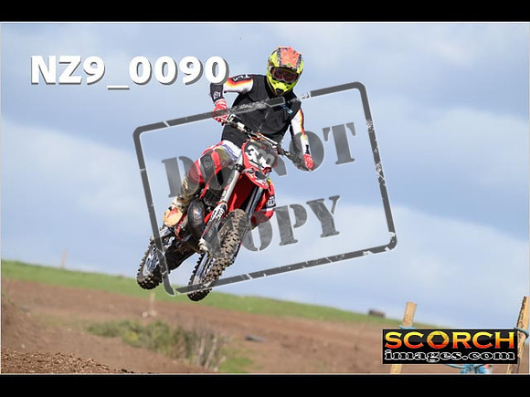 Experts-316