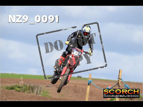 Experts-317