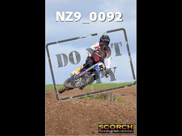 Experts-318