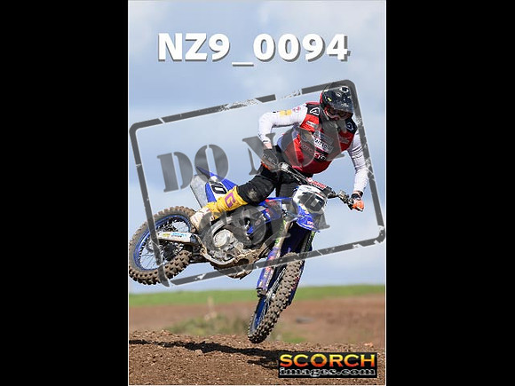 Experts-319