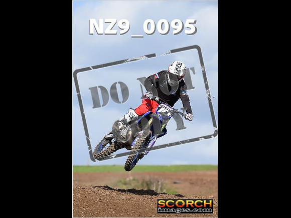Experts-320