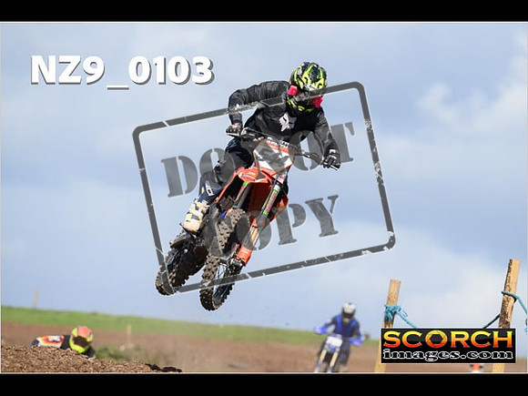 Experts-328