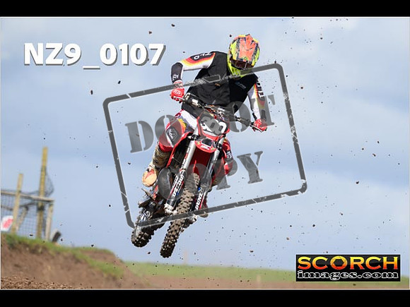 Experts-331