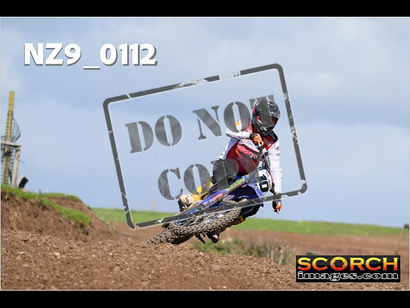 Experts-334
