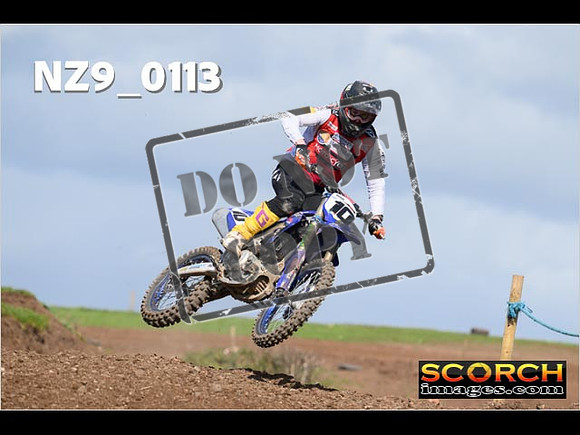 Experts-335