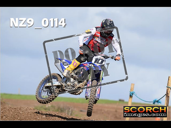 Experts-336