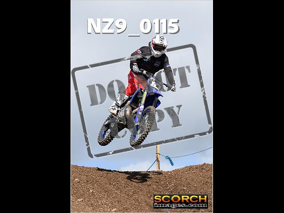 Experts-337