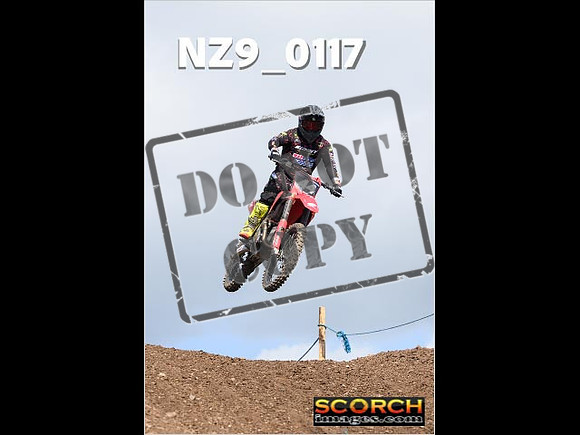 Experts-339