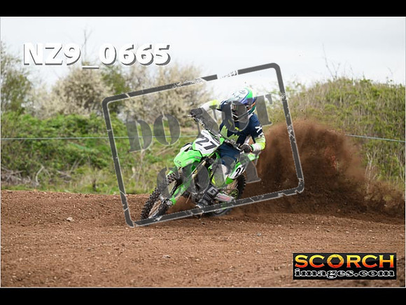 IntersGreen-028