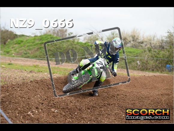IntersGreen-029