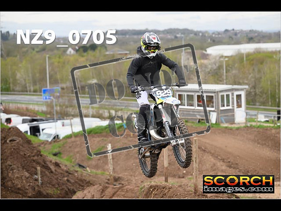IntersGreen-065