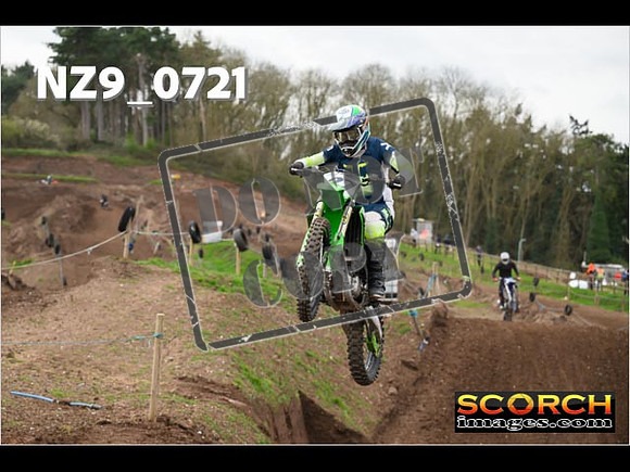 IntersGreen-081