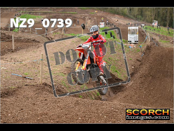 IntersGreen-099