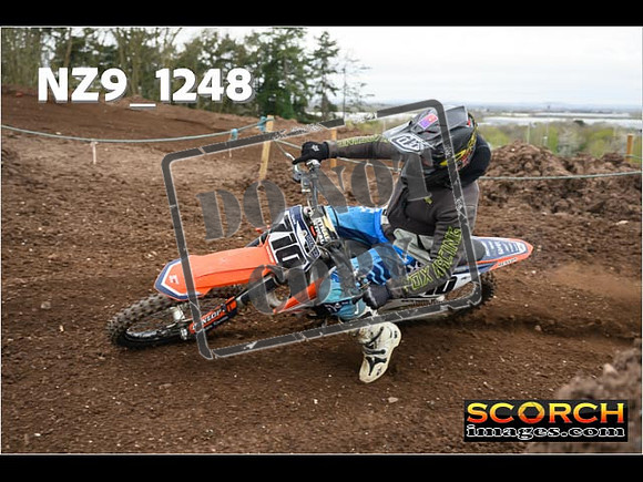 IntersGreen-170