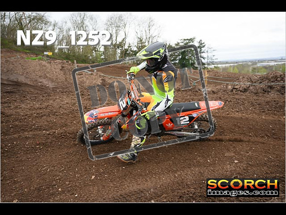 IntersGreen-174