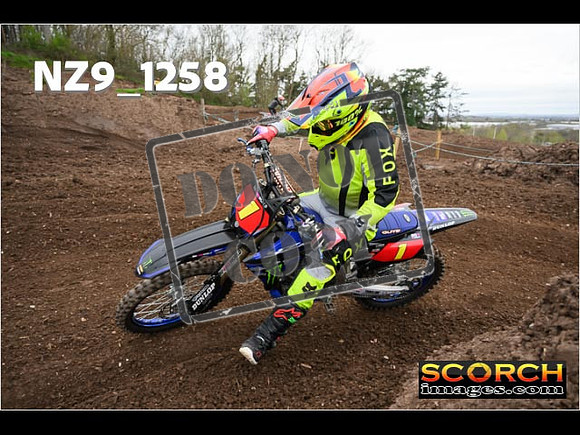 IntersGreen-180