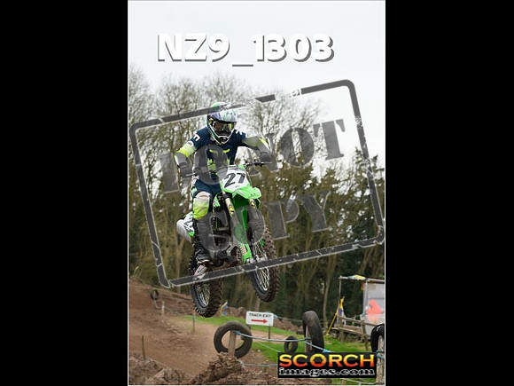 IntersGreen-225