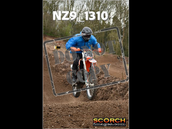 IntersGreen-232