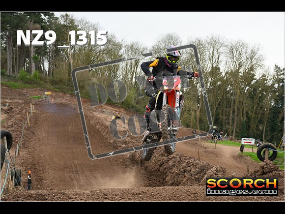 IntersGreen-237