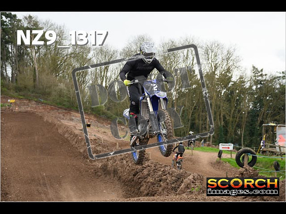 IntersGreen-239