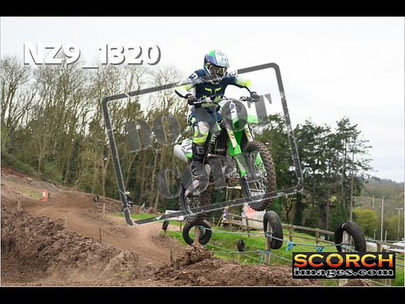 IntersGreen-242