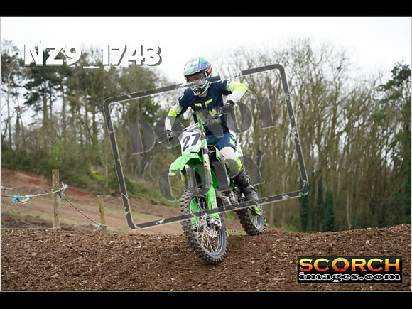 IntersGreen-252