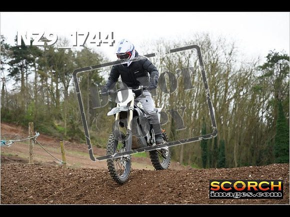 IntersGreen-253