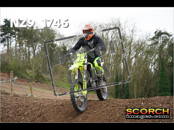 IntersGreen-255