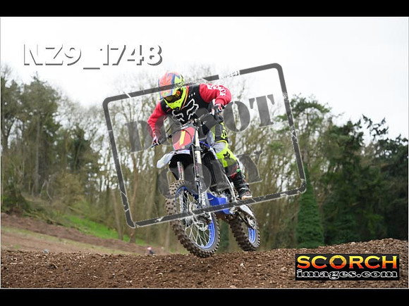 IntersGreen-257